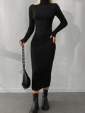 Dariana | Ribbed Turtleneck Dress