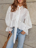 Ruffle Trim Tie Neck Blouse