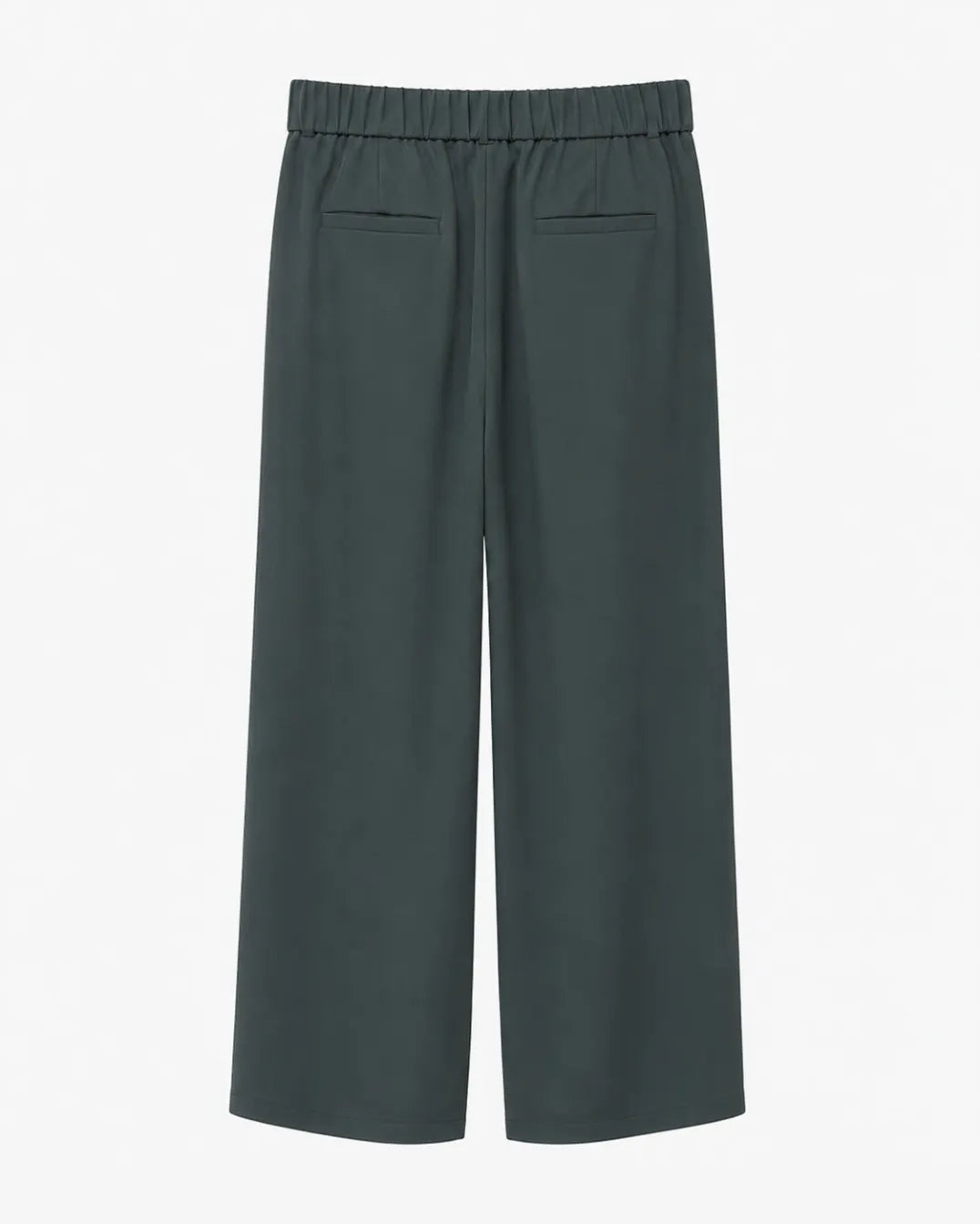 Carlein | Wide High-Waisted Pants