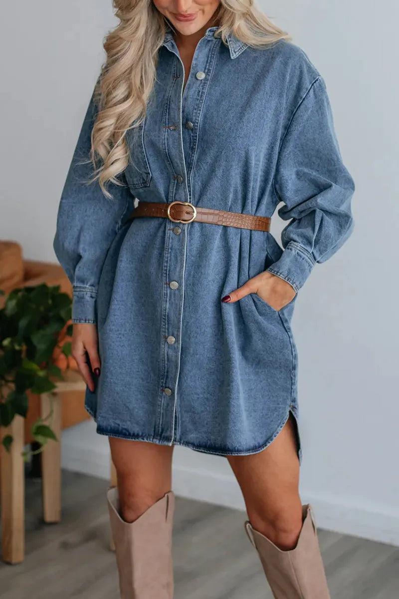 Casual Street Solid Color Distressed Pocket Buttons Turndown Collar Long Sleeve Loose Denim Dresses(No Belt)