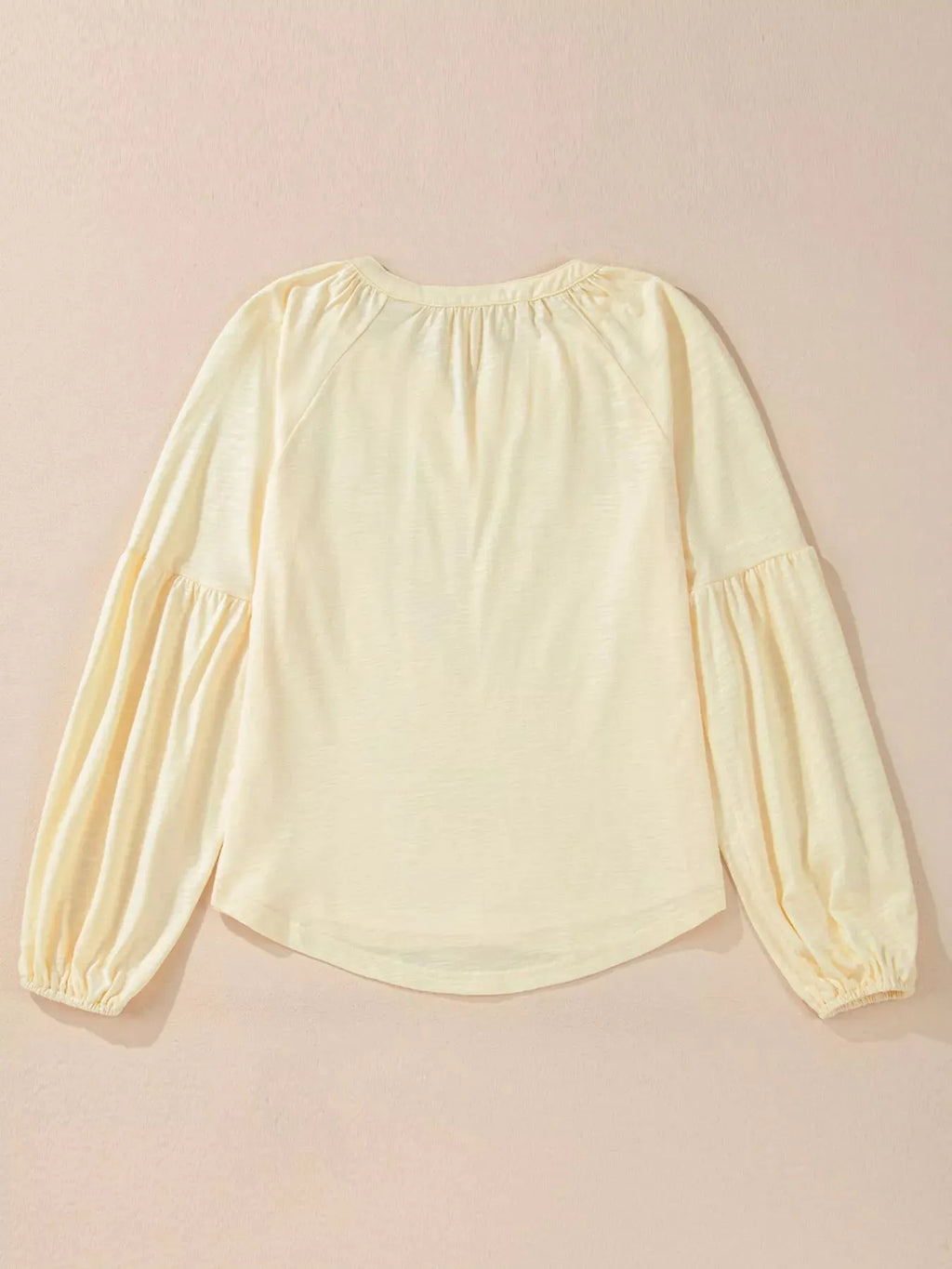 Embroidered Notched Balloon Sleeve Blouse