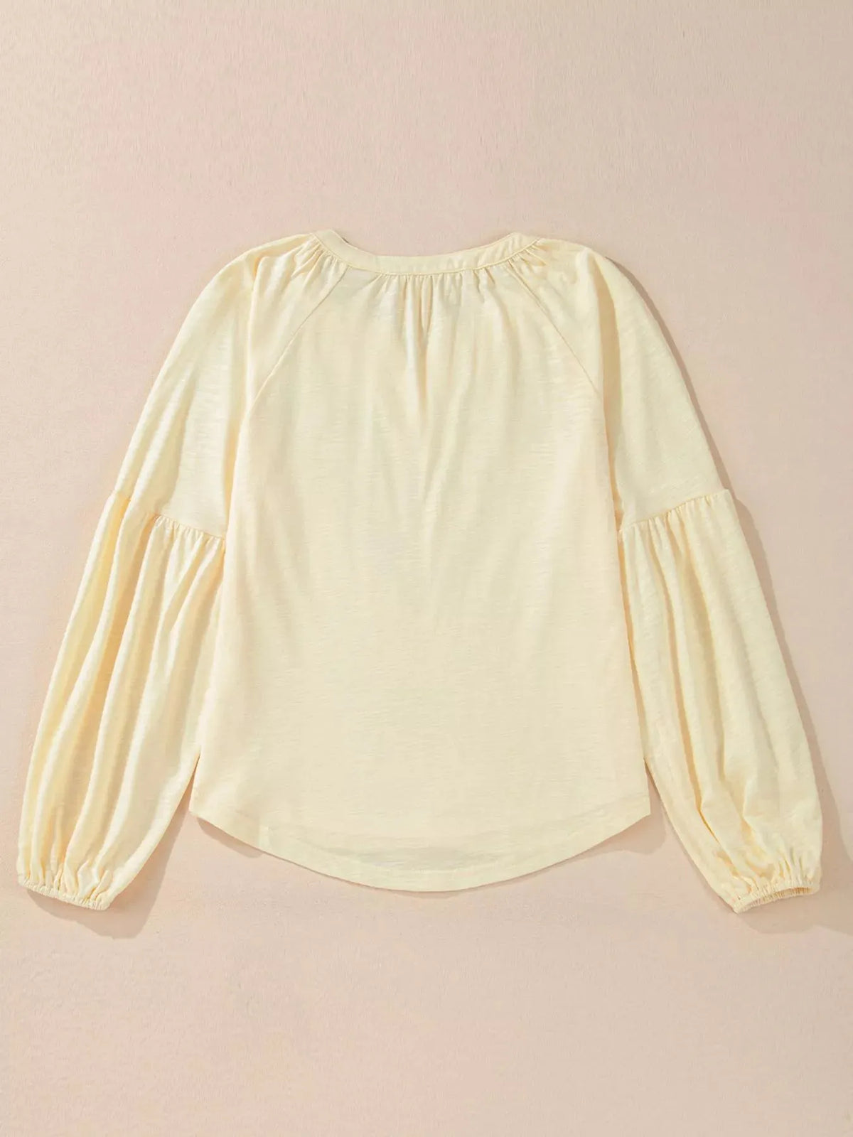 Embroidered Notched Balloon Sleeve Blouse